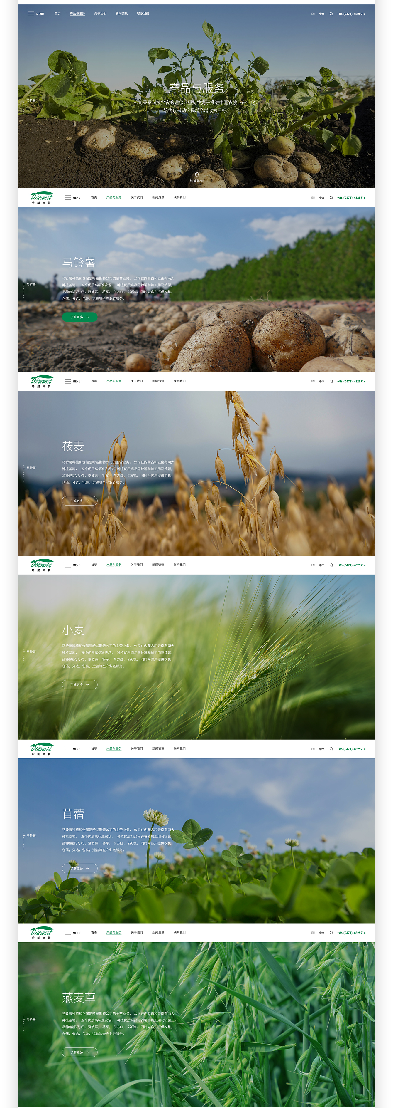 1644400256834966.jpg pic_03.jpg